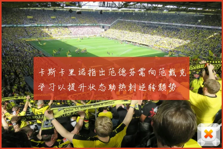 卡斯卡里诺指出范德芬需向范戴克学习以提升状态助热刺逆转颓势